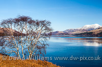 A view to Ben Nevis.